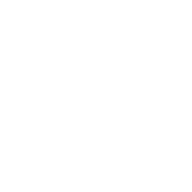 Lxl 1
